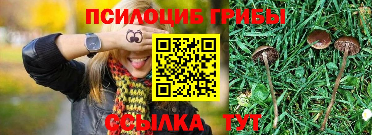 Псилоцибиновые грибы мицелий  наркошоп  Псилоцибиновые грибы Cubensis  Серпухов  Вход с VPN 